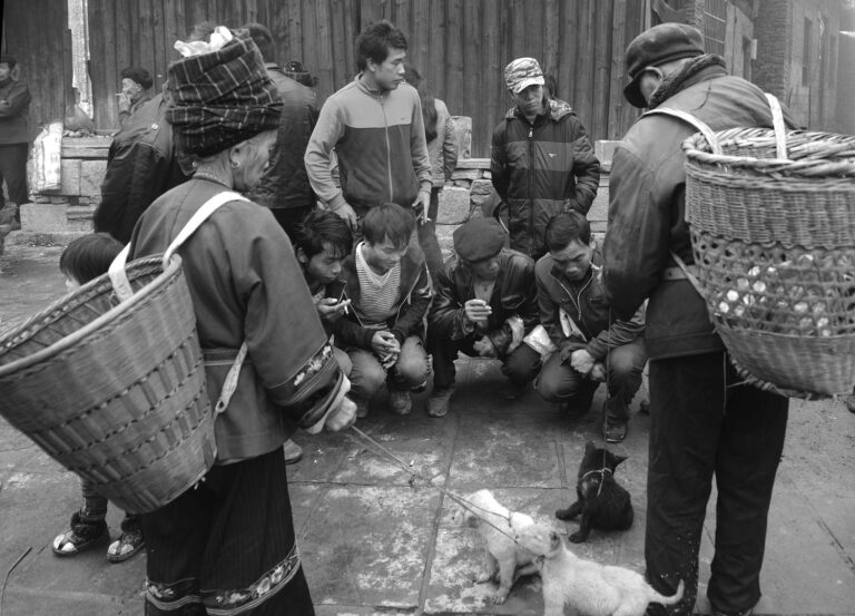 A glimpse of the market in western Hunan - A glimpse of the market in western Hunan 1